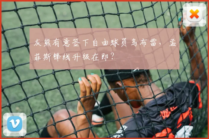 灰熊有意签下自由球员乌布雷,孟菲斯锋线升级在即?